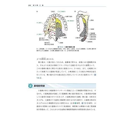 口腔の機能と解剖