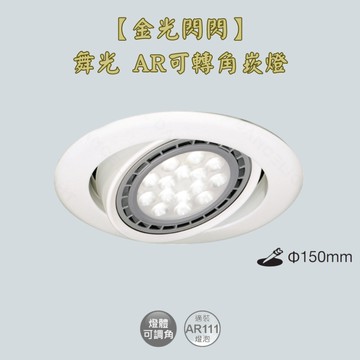【金光閃閃】舞光 附14W光源 可轉角崁燈(含燈) 崁燈 角度可調 安裝方便 高眼色性