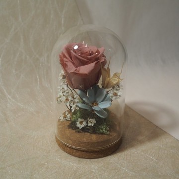 永生玫瑰罩盅/深粉玫瑰