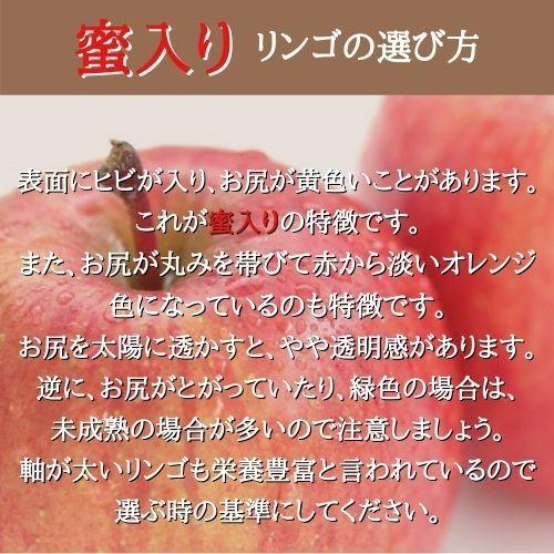 りんご サンふじ 3L ３kg 箱（約9〜10個入り） 産地直送 送料無料 12月上旬〜順次発送 福島 りんご屋さとう