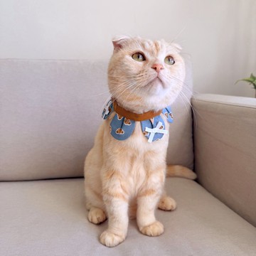 【恰氏手作】泰迪熊小花瓣寵物領巾 貓咪項圈 裝飾 狗狗項圈 配