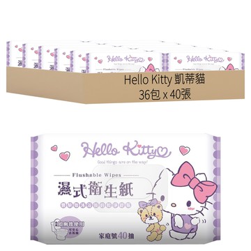 Hello Kitty 凱蒂貓 Sanrio 三麗鷗 濕式衛生紙 家庭號  1包  36包