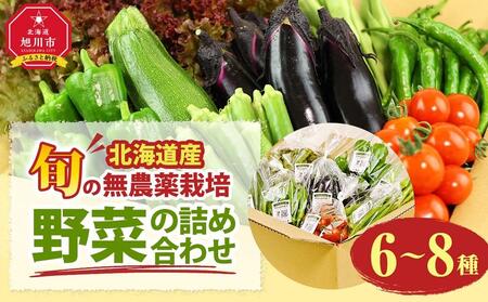 北海道旭川産　旬の無農薬栽培 野菜の詰め合わせ　6～8種（3～5kg）