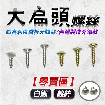 【蝦皮隔日到貨】零售區 大扁頭鐵板牙螺絲 【台灣製造】 白鐵 鍍鋅 5/32 M4 不鏽鋼螺絲 木工螺絲 十字 自攻螺絲