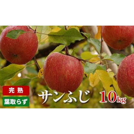 ふるさと納税 完熟・葉取らず「サンふじ」10kg 長野県駒ヶ根市