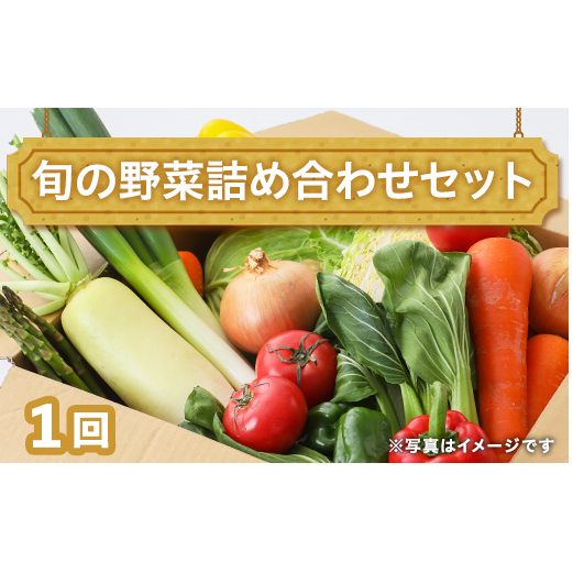 田舎の頑固おやじ厳選！旬の野菜詰め合わせセット [BI01-NT]