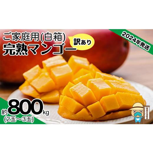 ふるさと納税 沖縄県 南城市 ＜訳あり・ご家庭用＞完熟アップルマンゴー約800g（白箱）2玉〜3玉