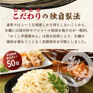 ふるさと納税 かくし甲斐路生ほうとう（3種の野菜、豚肉、無添加味噌、顆粒だし付） 4人前（2人前×2） 山梨県甲府市