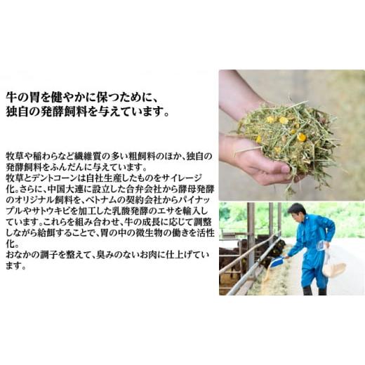 ふるさと納税 北海道 佐呂間町 サロマ和牛 ヒレ 半頭分 ステーキカット 約200g×15枚前後 北海道 オホーツク 佐呂間町 肉 牛肉 和牛 ヒレ肉…