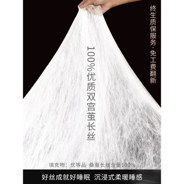 蠶絲被100%桑蠶絲被手工被子被芯冬被空調夏涼春秋子母被正品絲棉