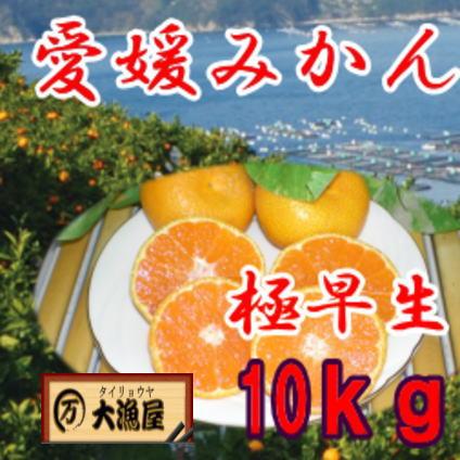 愛媛みかん　１０ｋｇ西宇和産 (わけあり 不揃い )　送料無料