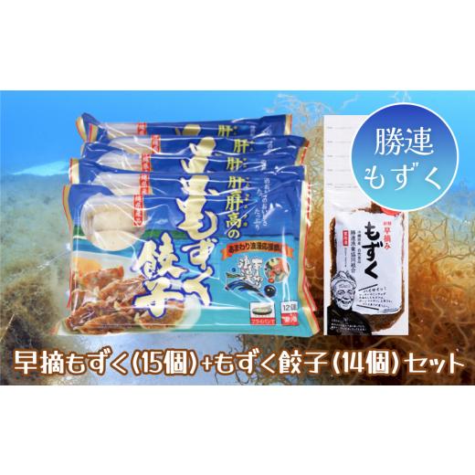 ふるさと納税 沖縄県 うるま市 早摘みもずく（15個）＆もずく餃子（14個）セット