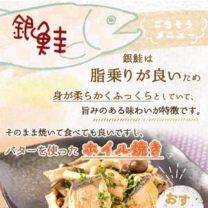 ふるさと納税 和歌山魚鶴仕込の甘口塩銀鮭切身4切天然塩さばフィレ４枚（２切×２パック２枚×２パック　小分け） 和歌山県那智勝浦町