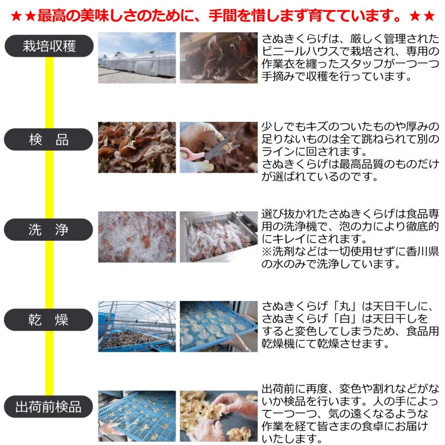 さぬきくらげ 丸 香川県産 乾燥 きくらげ 10g 袋入り 送料無料 メール便