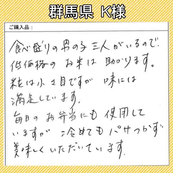 米 10kg 送料無料 国内産 ひかり精米 白米 ブレンド米 家庭応援