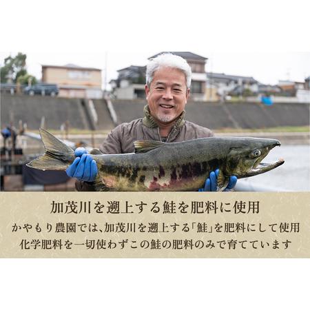 ふるさと納税 [発芽玄米] 新潟産 発芽玄米2.4kg（600g×4個）新潟米 新潟県産 かやもり農園 新潟県加茂市