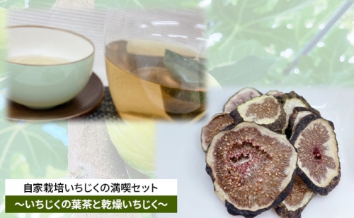 自家栽培いちじくのドライフルーツ満喫セット～いちじくの葉茶と2種の乾燥いちじく～