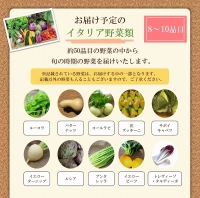 かほくイタリア野菜旬のおまかせBOX（約8～10種類） 野菜の説明おしゃれな料理が簡単に作れちゃうレシピ付き♪