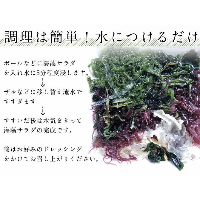 お試し 海藻サラダ45g 乾燥タイプ_送料無料 ぽっきり 母の日 父の日 ポイント消化