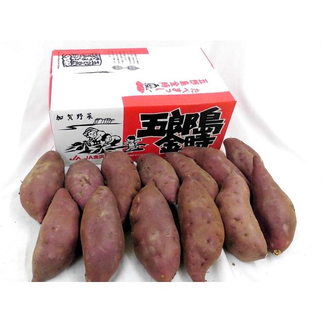 石川県 加賀野菜 ”五郎島金時” S M Lサイズ 約5kg さつまいも 送料無料