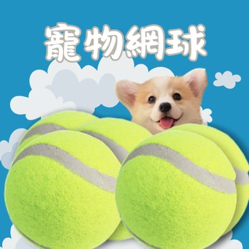 網球 寵物網球 練習網球 狗狗網球 寵物玩具 寵物玩具球 寵物耐咬球