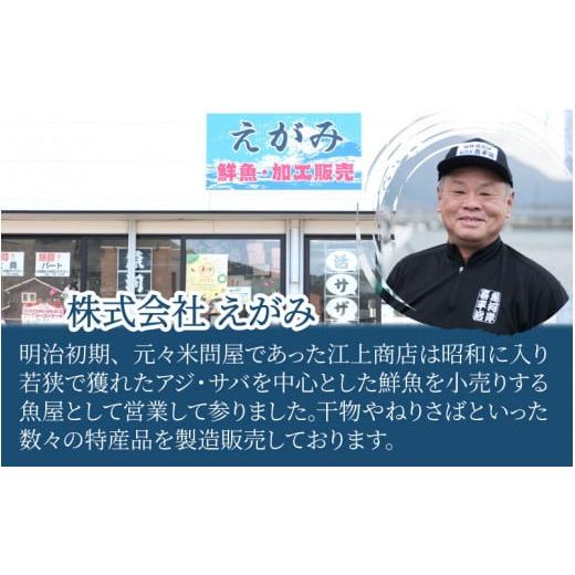 ふるさと納税 福井県 高浜町 若狭海の幸詰め合わせ