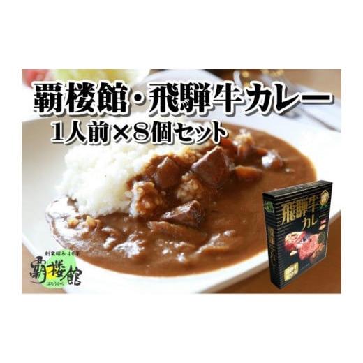 ふるさと納税 岐阜県 覇楼館・飛騨牛カレー1人前(250g)×8個セット