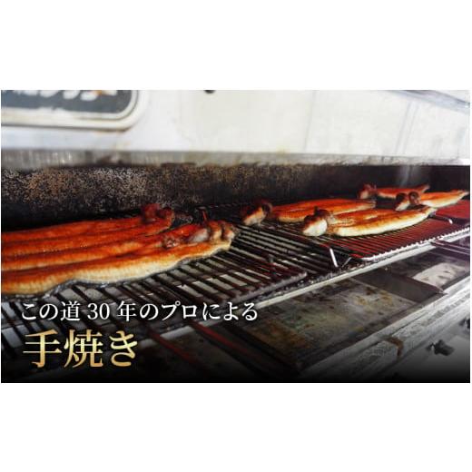 ふるさと納税 福井県 あわら市 国産 活うなぎ蒲焼 有頭 約270g 1尾 1〜2人前《ご寄付後、発送直前に1つ1つ手焼き！》／ 高級 特大 ウナギ 老舗魚屋 タレ レン…