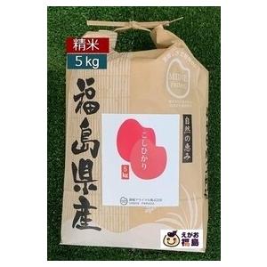 10%OFFクーポン 新米 お米 5Kg 白米 精米 コシヒカリ こしひかり 令和５年産 福島県産 米袋 真空パック 一部地域、送料無料