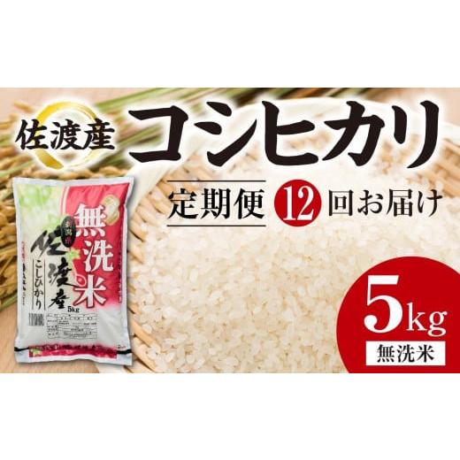 ふるさと納税 新潟県 佐渡市 　佐渡産コシヒカリ　5kg（無洗米）