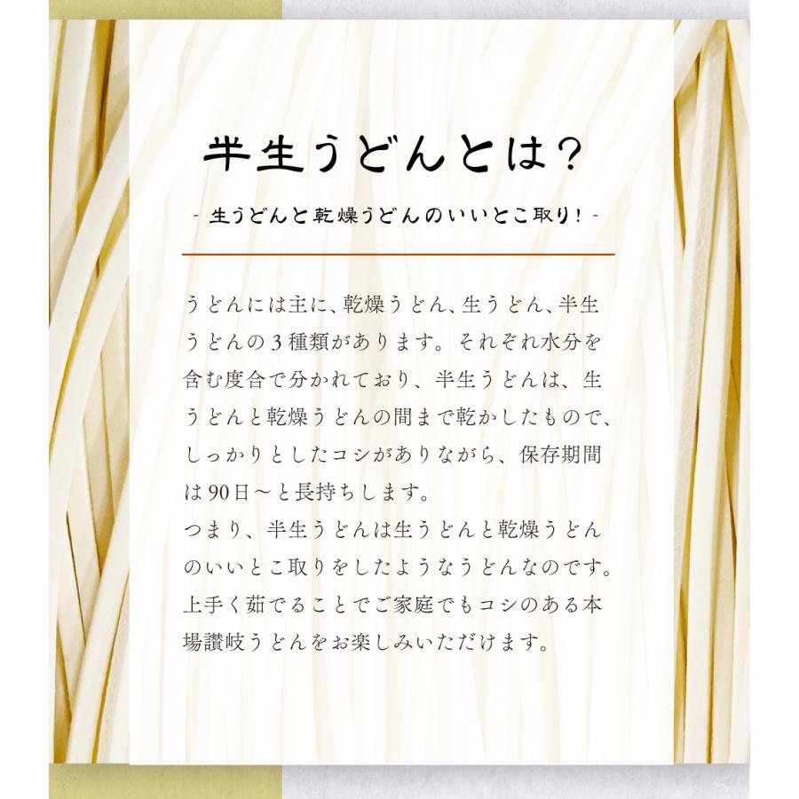 送料無料 半生うどん 9食 （300g×3）麺のみ 讃岐うどん ポイント利用 お試し ポイント消化 ご当地グルメ 食品 産直 おすすめ ポイント消費 食品 お取寄せ 香川