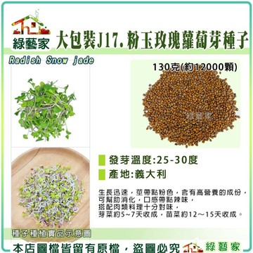 【綠藝家】大包裝J17.粉玉玫瑰蘿蔔芽種130克(約12000顆)產地義大利 芽菜種子 芽苗種子 菜苗種子