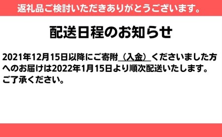 さぬき 骨付鶏 10本セット