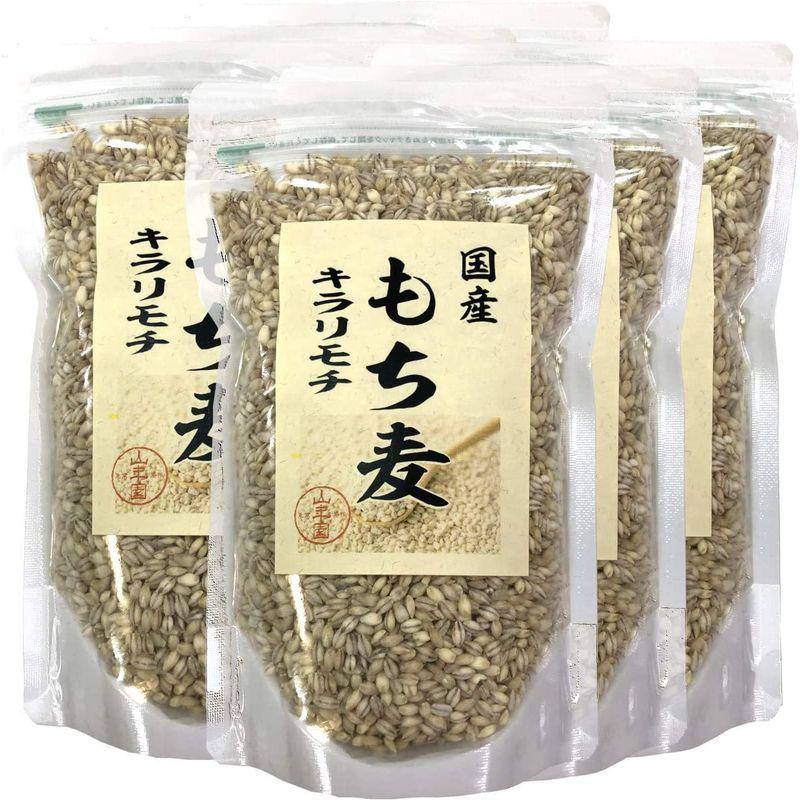 国産もち麦 キラリモチ 500g×6袋セット 巣鴨のお茶屋さん 山年園