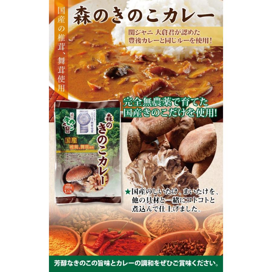 森のきのこカレー 3袋セット 1人前(200g) × 3袋 国産きのこ 椎茸 舞茸カレー 国産カレー 送料無料