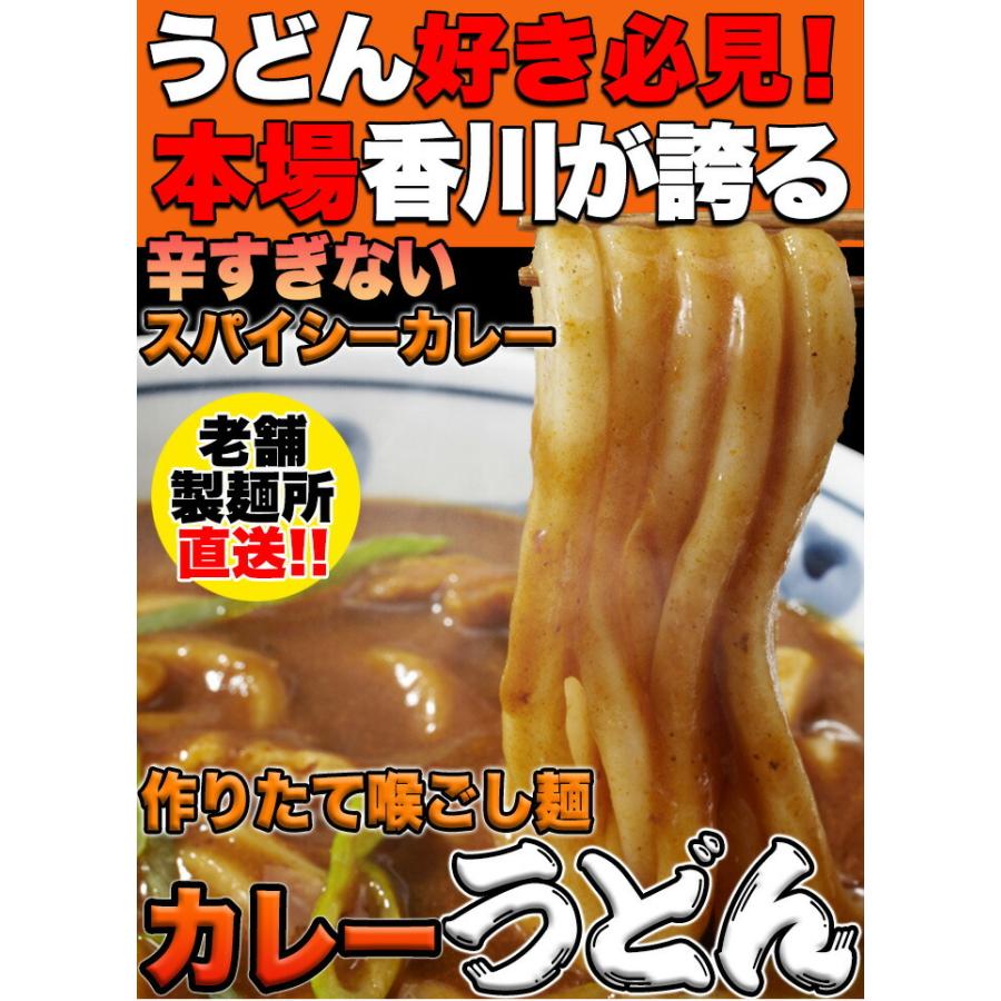 讃岐の製麺所が作る　レンジで簡単　辛すぎないスパイシーなカレーうどん4食　180g×4　うどん