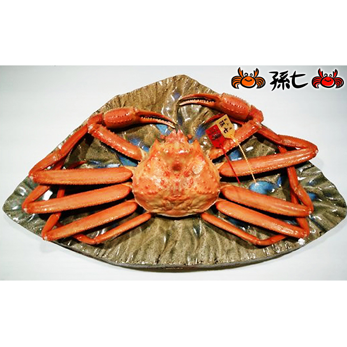 紅ズワイガニ約1kg（孫七タグ付）