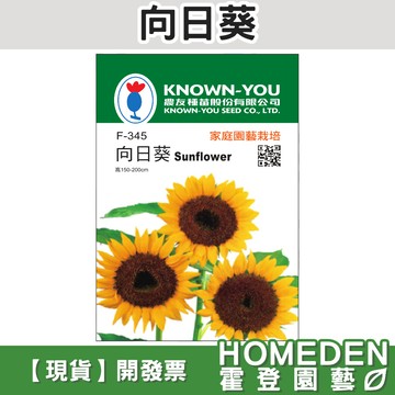 【隔日到貨】向日葵 F-345 花卉種子 農友牌 小包裝種子 約12粒/包【HOMEDEN霍登園藝】