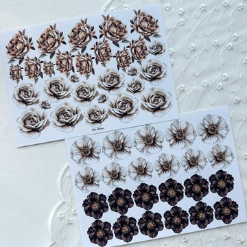 A386 - 秋季與冬季的花卉