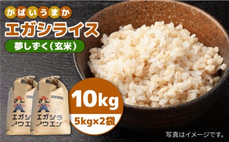 令和5年産 新米 がばいうまかエガシライス（夢しずく）玄米 10kg（5kg×2袋）[HAU005]