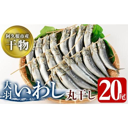 ふるさと納税 鹿児島県 阿久根市 鹿児島県阿久根市産干物！大羽いわし丸干し(20尾)国産 鹿児島県産 魚介 魚貝 海産物 水産加工物 惣菜 簡単調理 セット 小分け…