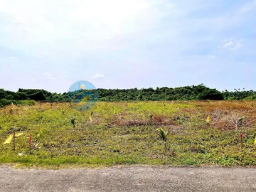 屏東新埤新華都計農地｜屏東縣新埤鄉新華段