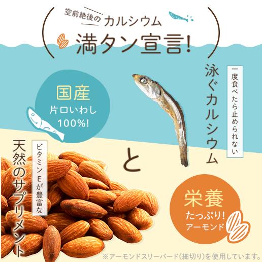 おつまみ ナッツ アーモンド小魚 送料無料  小魚アーモンド 訳あり ビール