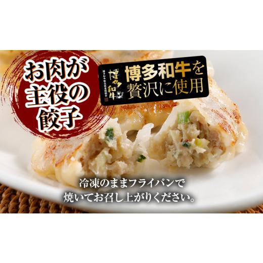 ふるさと納税 福岡県 田川市 博多和牛 手作り餃子　20個×4パック