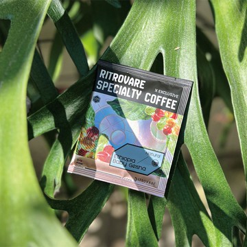 【尋品咖啡・兩件5折】精品濾掛式咖啡 - 寶貝藝伎 日曬 10入盒