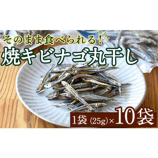 ふるさと納税 鹿児島県 阿久根市 焼キビナゴ丸干し10袋セット(25g×10袋)海産物 きびなご おつまみ おかず19-37