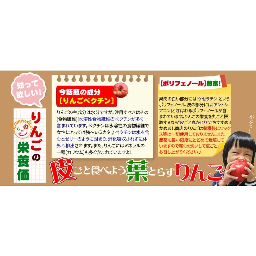 葉っぱの影は甘さのサイン贈答用（14-18玉) 青森 送料無料 [※産地直送のため同梱不可]