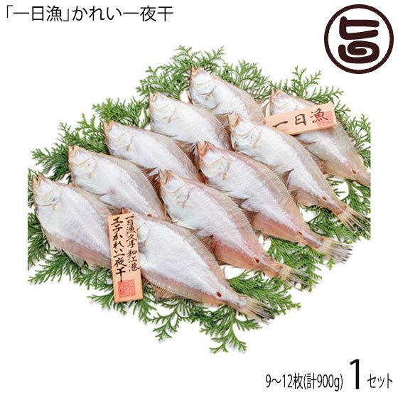 「一日漁」かれい一夜干900g 岡富商店 干物 白かれい 贈り物