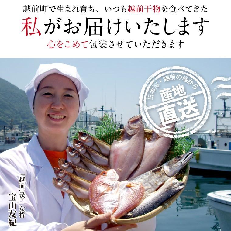 干物 秋冬 旬 干物 4種10尾 セット 魚 干物 お取り寄せ 一夜干し魚 ((冷凍)) 内祝い お返し 出産 プレゼント ギフト