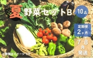 夏野菜セットB (10品) 7・8月発送